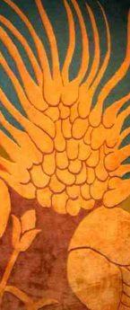 Symbiosis