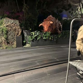 Dinosaur