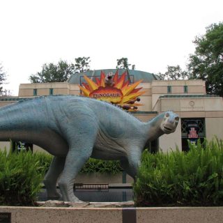 Dinosaur