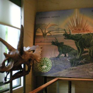 Dinosaur