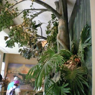 Dinosaur