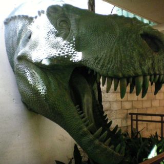 Dinosaur