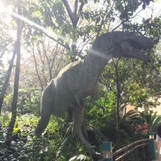 Dinosaur