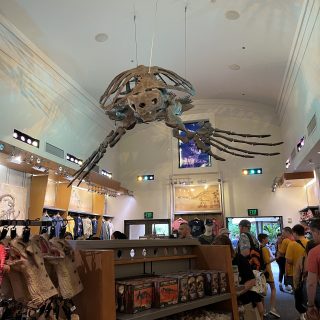 Dinosaur
