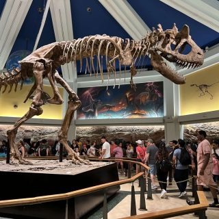 Dinosaur